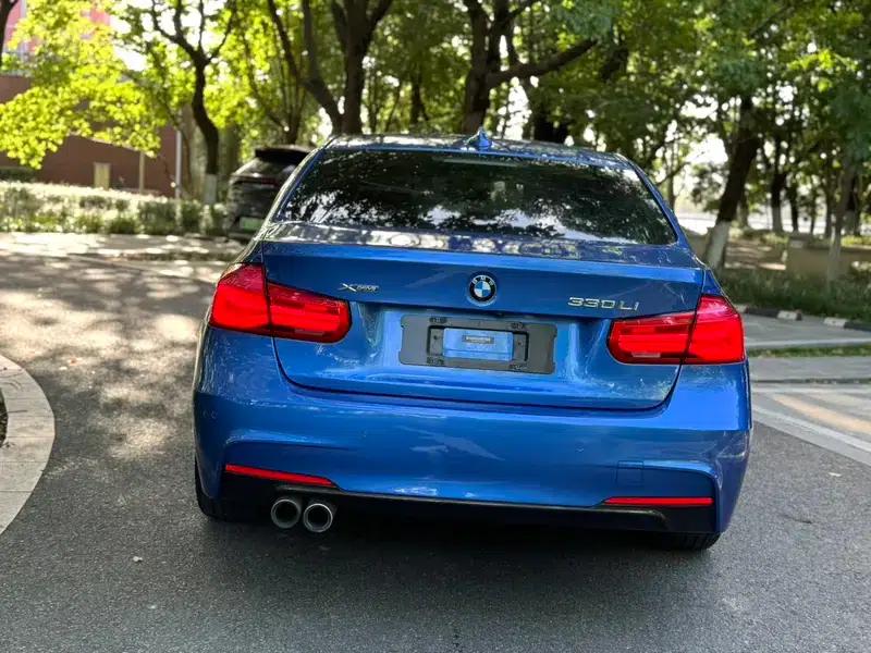 2018 BMW 3 Series 320Li Leading M Sport Package — миниатюра 5