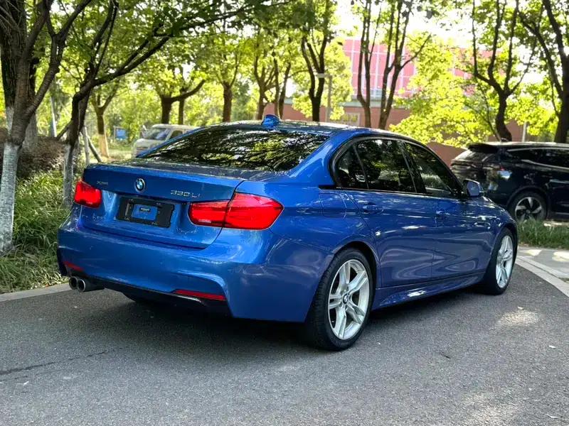2018 BMW 3 Series 320Li Leading M Sport Package — миниатюра 6