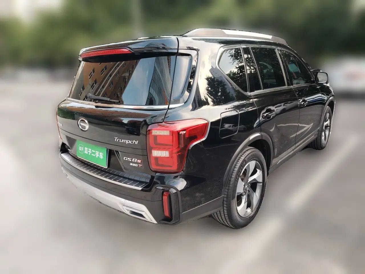 GAC Trumpchi GS8 2020 GS8S 390T Two-Wheel Drive Luxury Smart Connectivity Version — миниатюра 6