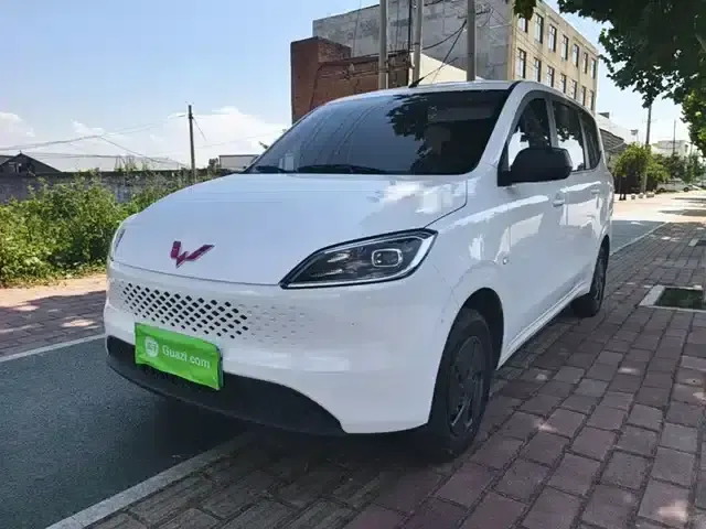Wuling Hongguang New Energy 2025 Range-Extended Hybrid 50km Comfort Model