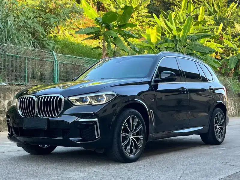 BMW X5 2022 xDrive 30Li Luxury M Sport Package — миниатюра 1