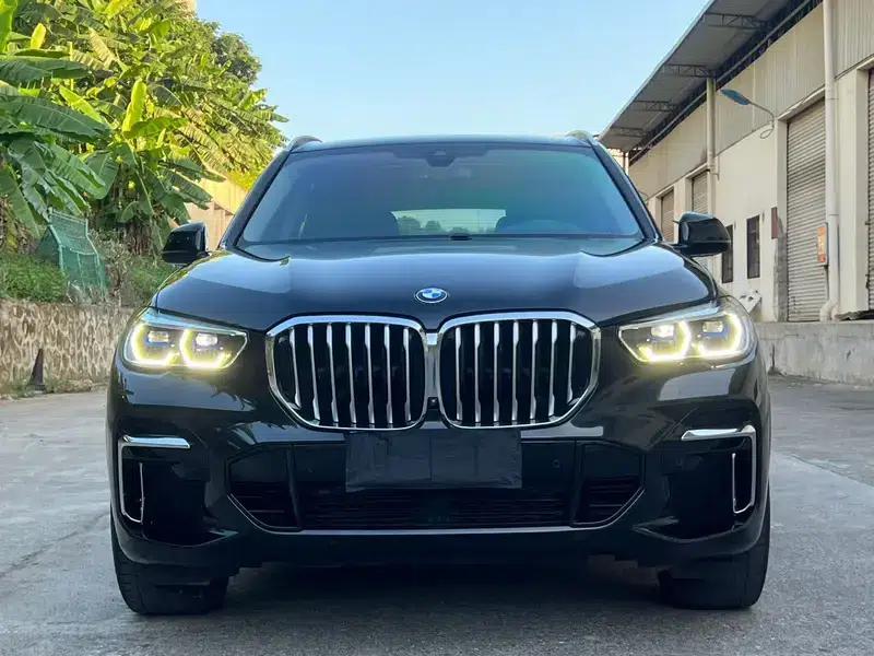 BMW X5 2022 xDrive 30Li Luxury M Sport Package — миниатюра 2