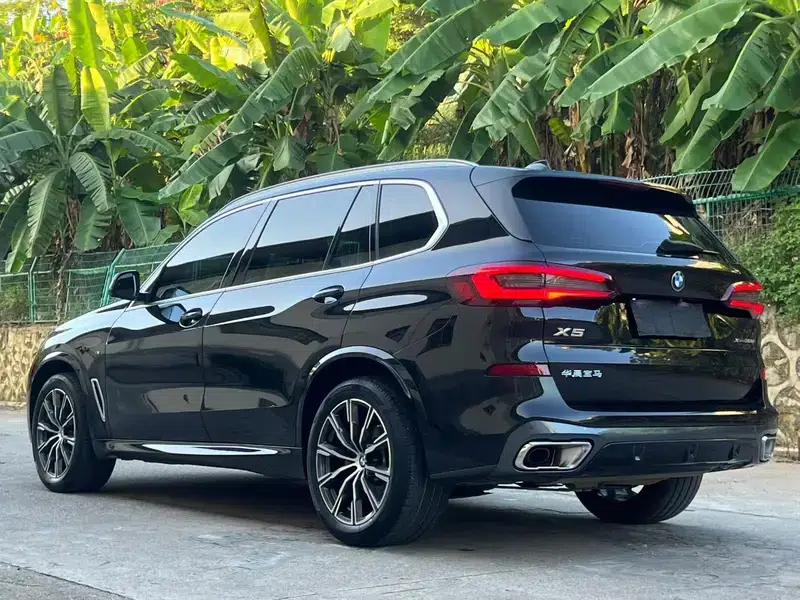 BMW X5 2022 xDrive 30Li Luxury M Sport Package — миниатюра 4