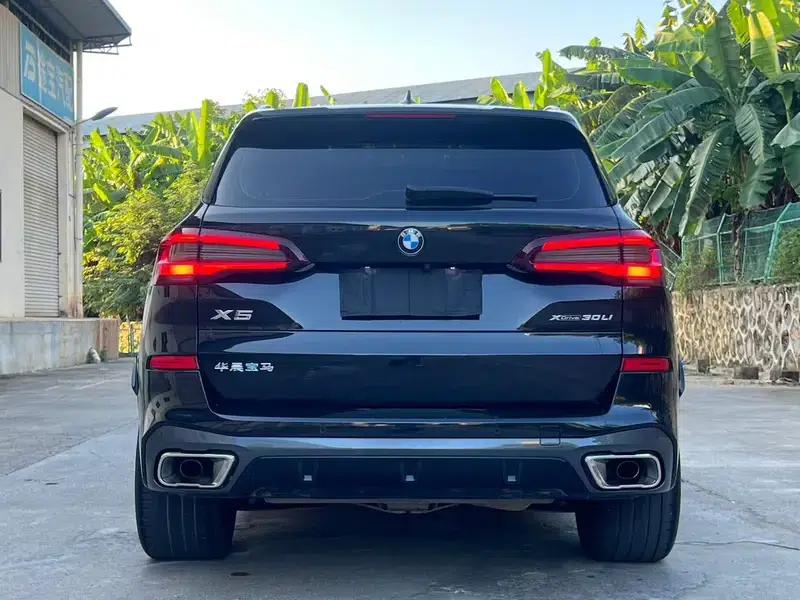 BMW X5 2022 xDrive 30Li Luxury M Sport Package — миниатюра 5