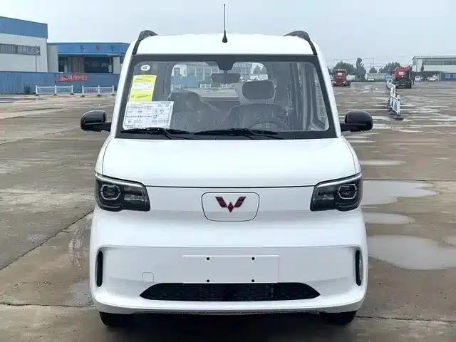 Wuling Sunshine New Energy 2025 Model 305km/h Progressive Edition