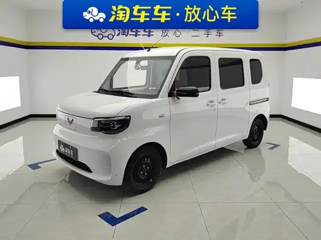 Wuling Sunshine New Energy 2025 Model 201km Standard Edition