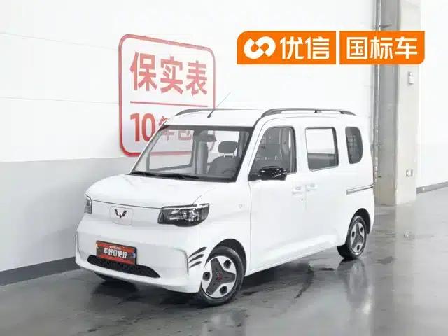 Wuling Sunshine New Energy 2025 Model 305km/h Progressive Edition