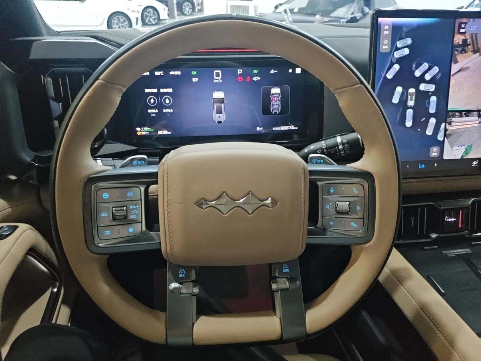Formula Leopard 8 2025 Smart & Brave Flagship Edition 7 Seats — миниатюра 13