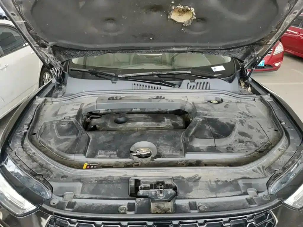 Wey VV5 2019 Upgraded 2.0T 2WD Super Luxury Model (National V Emission Standard) — миниатюра 20