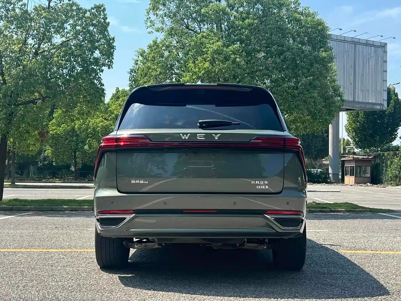 Weipai Blue Mountain 2025 4WD Max — миниатюра 16