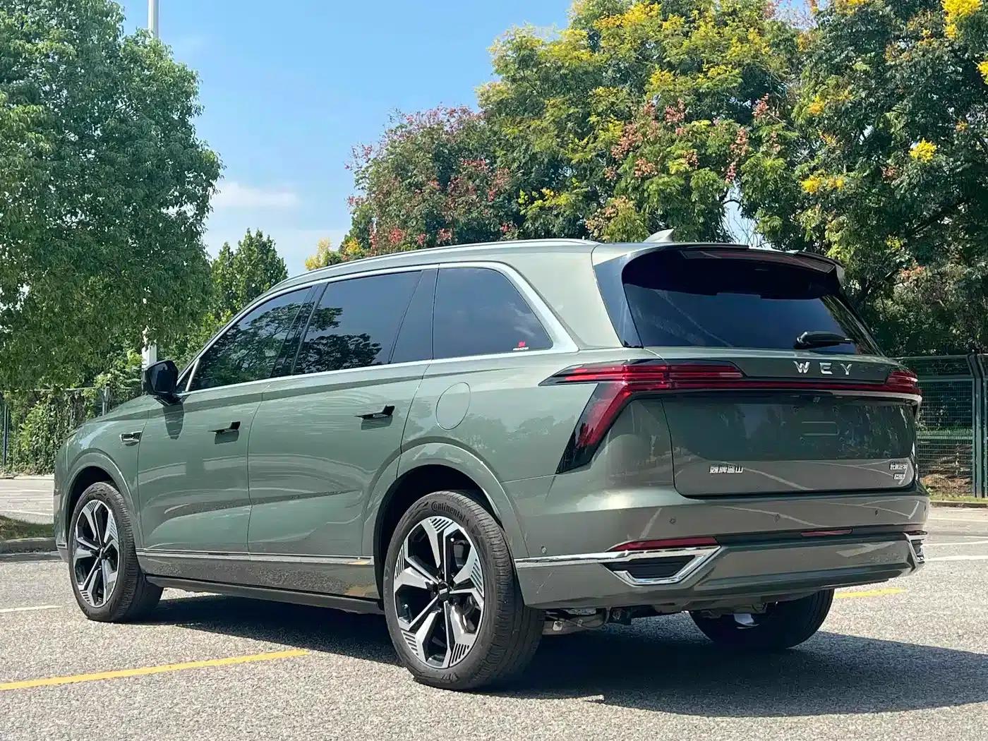 Weipai Blue Mountain 2025 4WD Max — миниатюра 17