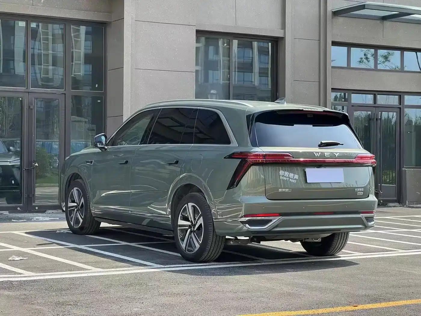 Weipai Blue Mountain 2025 4WD Max — миниатюра 7