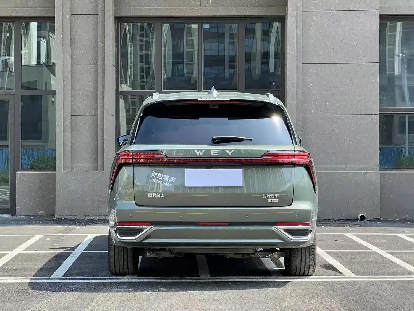 Weipai Blue Mountain 2025 4WD Max — миниатюра 8