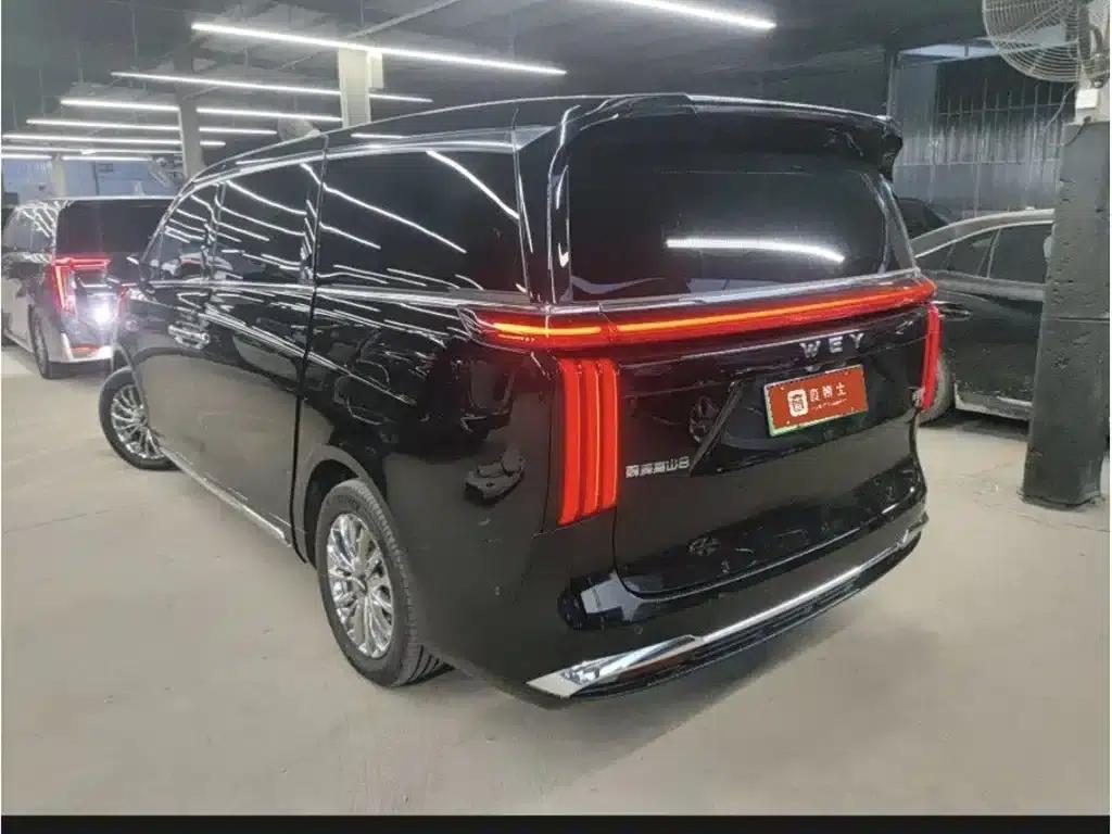Weipai Gaoshan 2025 Model 4WD Gaoshan 8 — миниатюра 5