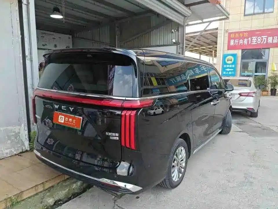 Weipai Gaoshan 2025 Model 4WD Gaoshan 8 — миниатюра 8