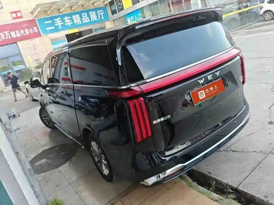 Weipai Gaoshan 2025 Model 4WD Gaoshan 8 — миниатюра 9