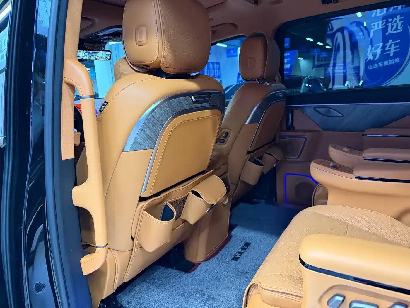 Weipai Gaoshan 2025 Model 4WD Gaoshan 8 — миниатюра 13