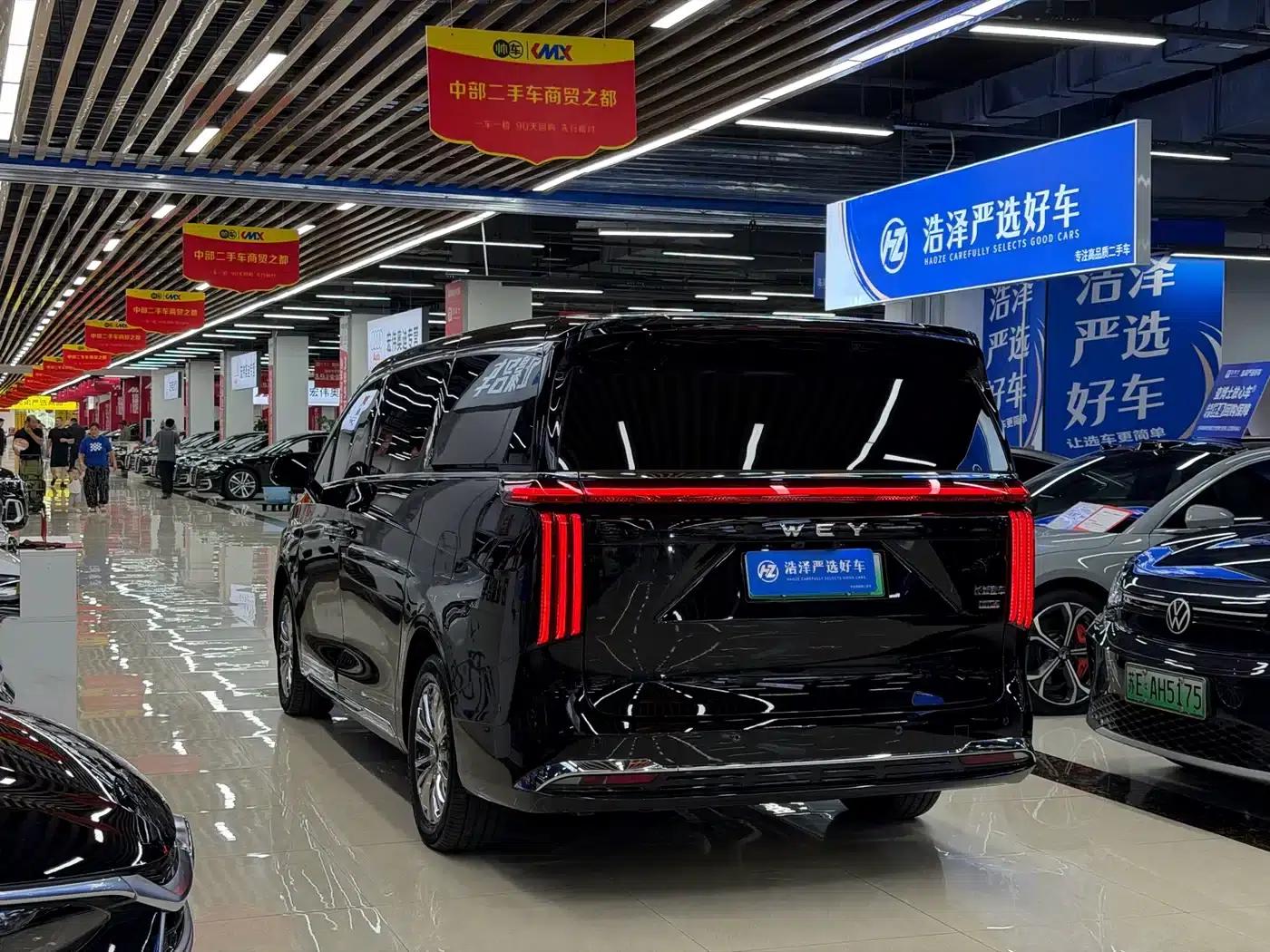 Weipai Gaoshan 2025 Model 4WD Gaoshan 8 — миниатюра 15