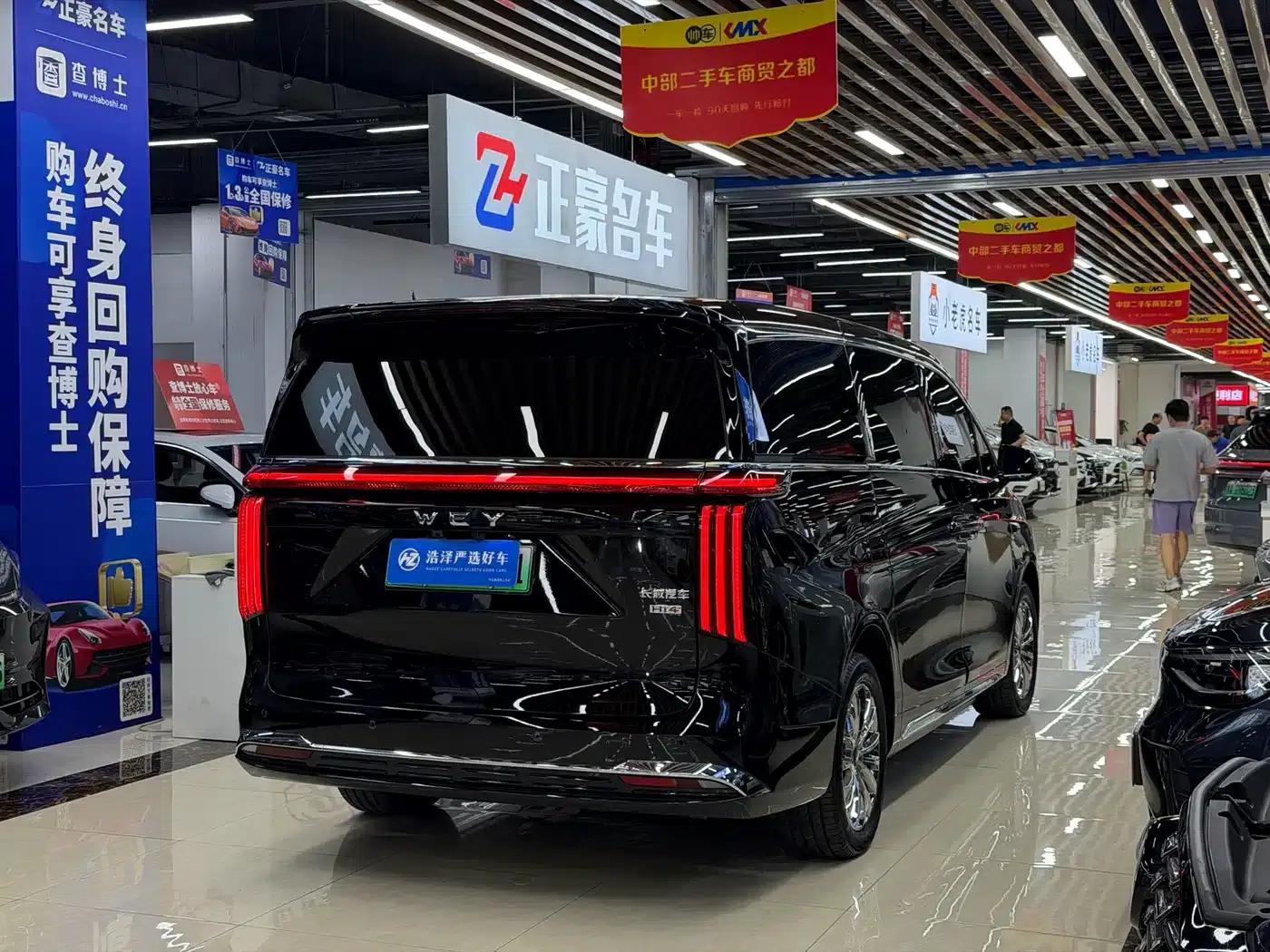 Weipai Gaoshan 2025 Model 4WD Gaoshan 8 — миниатюра 16