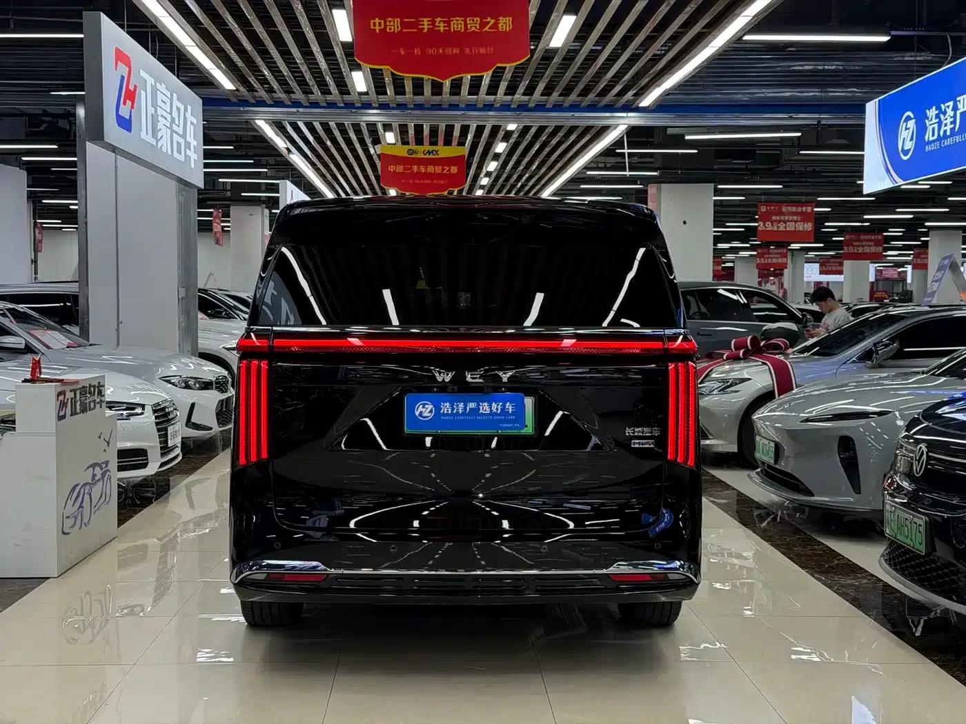 Weipai Gaoshan 2025 Model 4WD Gaoshan 8 — миниатюра 17