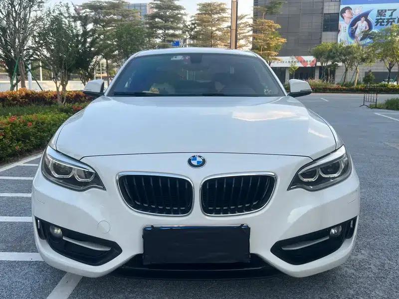 BMW 2 Series (Imported) 2014 220i Leading Edition — миниатюра 2