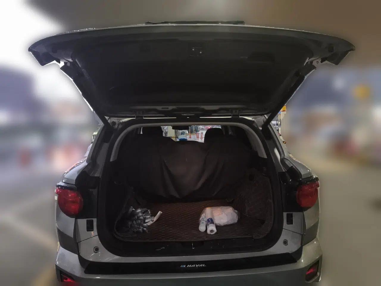 Haval H Dog 2023 2.0T Two-Wheel Drive Chaoye Version Plus — миниатюра 19