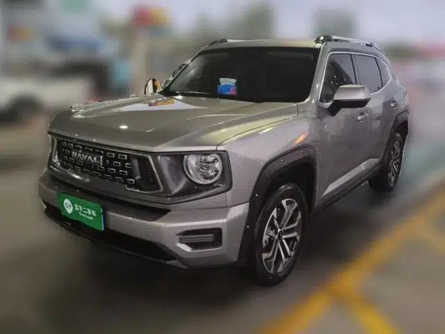 Haval H Dog 2023 2.0T Two-Wheel Drive Chaoye Version Plus