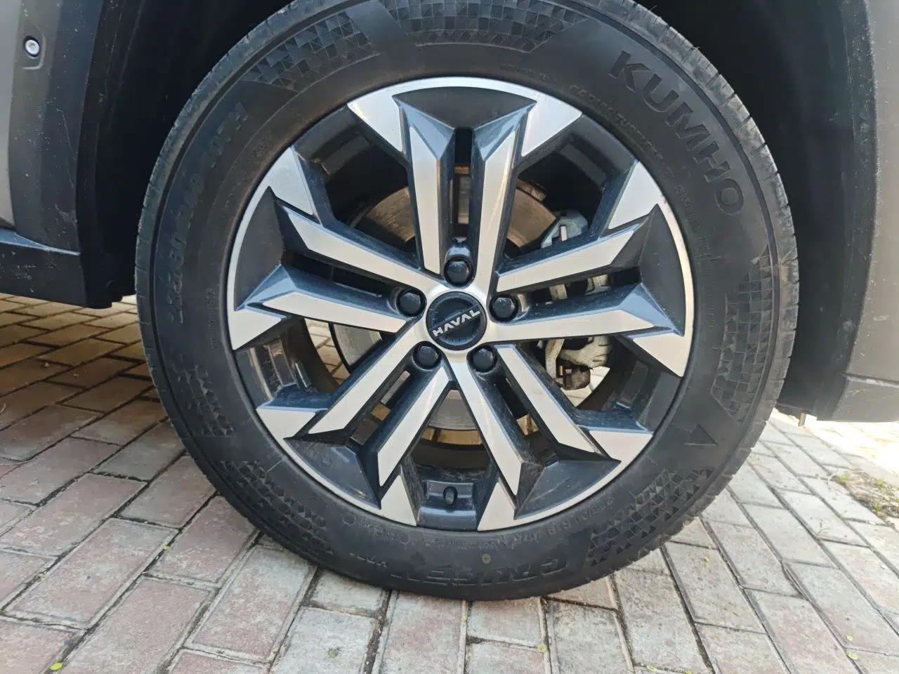 Haval H Dog 2023 2.0T Two-Wheel Drive Chaoye Version Plus — миниатюра 8