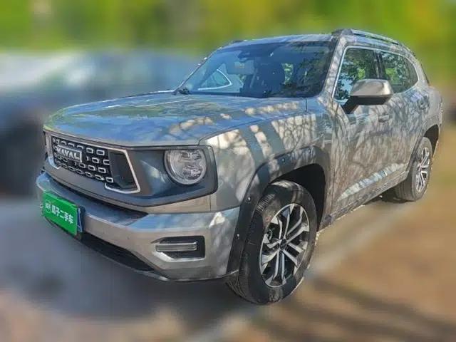 Haval H Dog 2023 2.0T Two-Wheel Drive Chaoye Version Plus