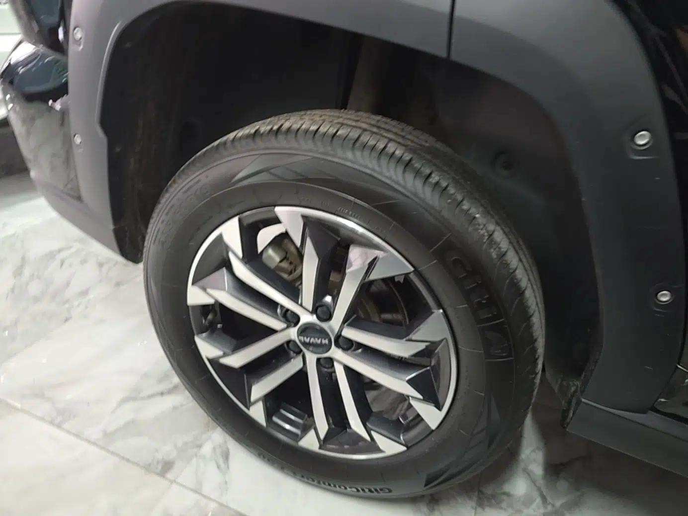 Haval H Dog 2023 1.5T Two-Wheel Drive Chao Ye Version Plus — миниатюра 11