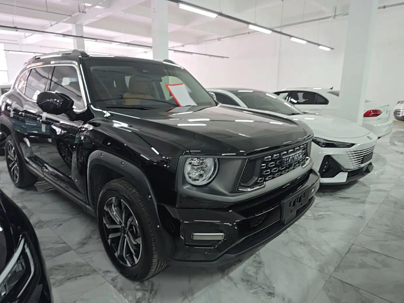 Haval H Dog 2023 1.5T Two-Wheel Drive Chao Ye Version Plus — миниатюра 3