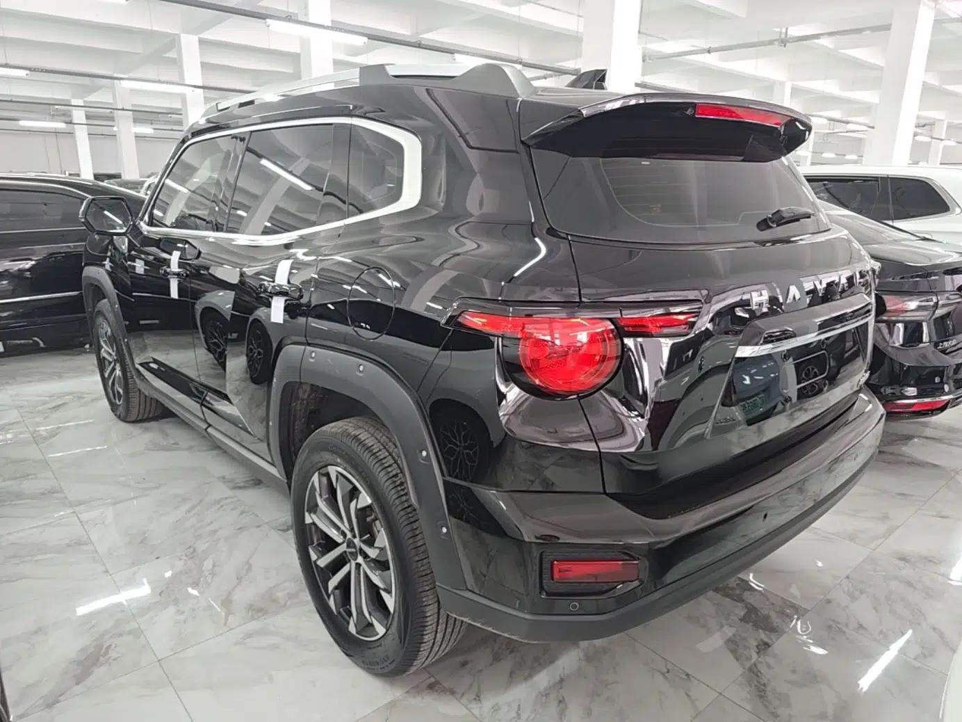 Haval H Dog 2023 1.5T Two-Wheel Drive Chao Ye Version Plus — миниатюра 4
