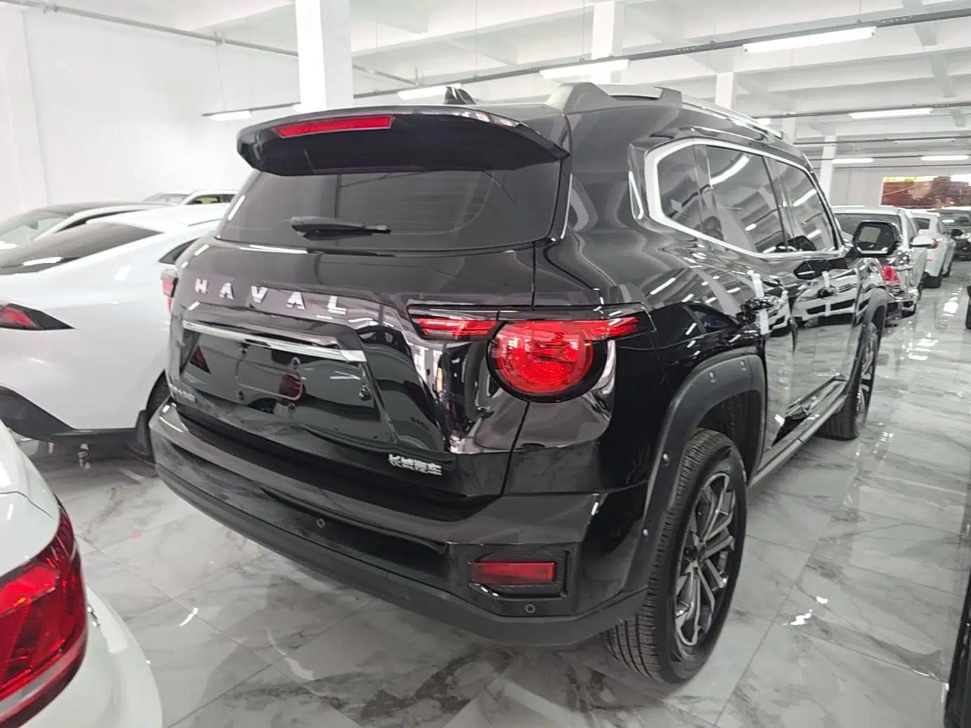 Haval H Dog 2023 1.5T Two-Wheel Drive Chao Ye Version Plus — миниатюра 6