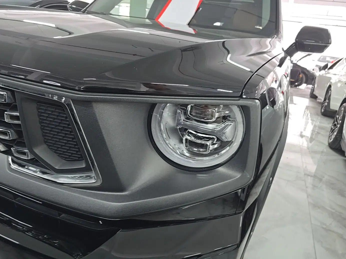 Haval H Dog 2023 1.5T Two-Wheel Drive Chao Ye Version Plus — миниатюра 8