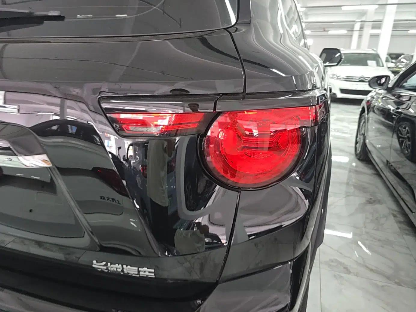 Haval H Dog 2023 1.5T Two-Wheel Drive Chao Ye Version Plus — миниатюра 9