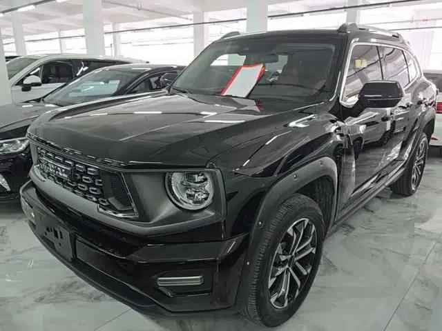 Haval H Dog 2023 1.5T Two-Wheel Drive Chao Ye Version Plus