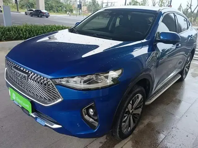 Haval F7x 2021 2.0T Two-Wheel Drive Intelligent Technology Edition