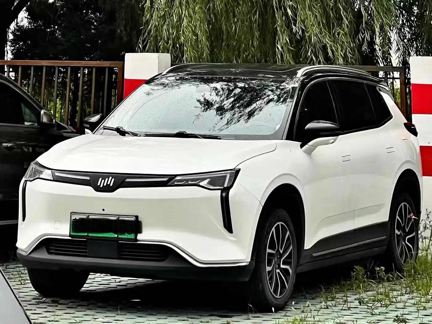Weltmeister W6 2021 520km PRO All-Round Edition — миниатюра 1