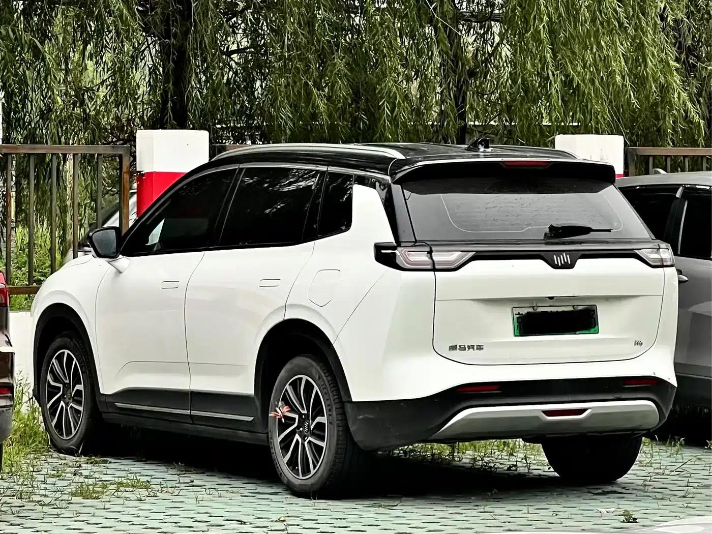 Weltmeister W6 2021 520km PRO All-Round Edition — миниатюра 4