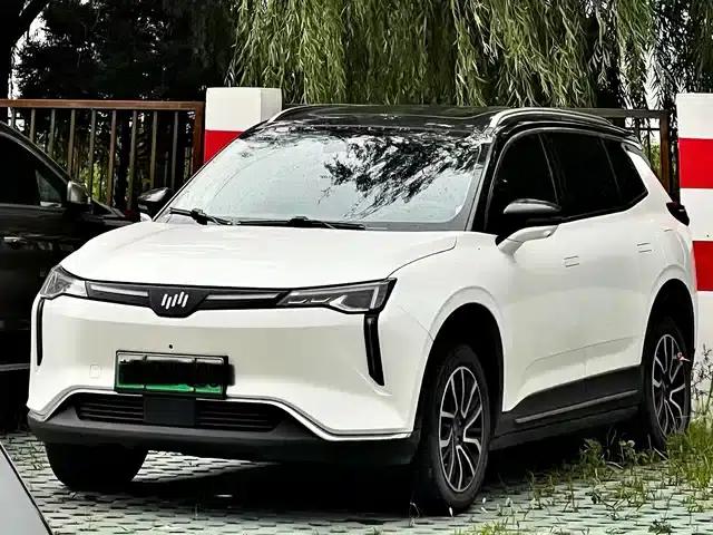 Weltmeister W6 2021 520km PRO All-Round Edition
