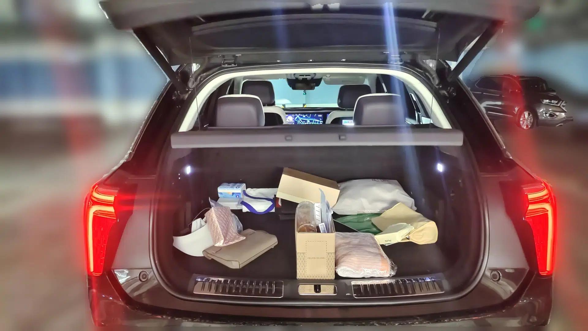 Hongqi E-HS9 2021 510 km Flagship Edition Four Seats — миниатюра 19