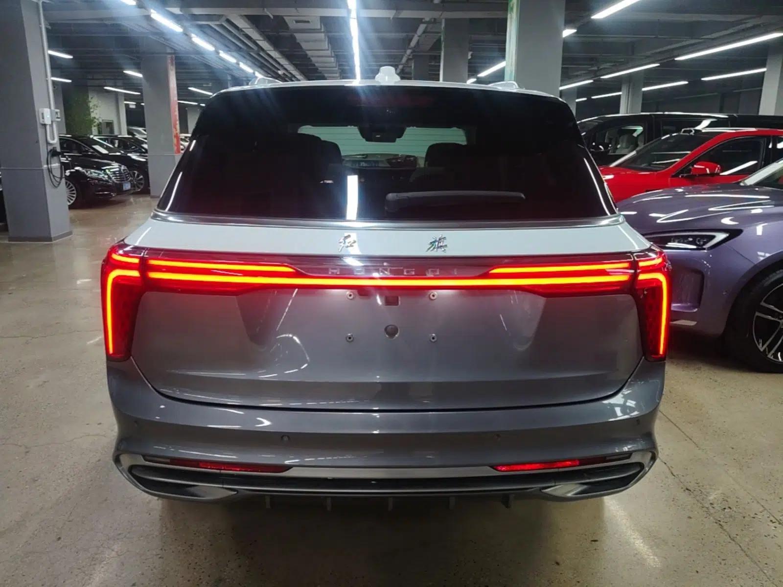 Hongqi E-HS9 2022 660 km Range Flagship Edition Four Seats — миниатюра 5