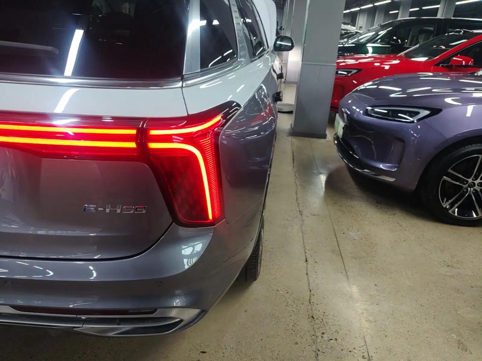 Hongqi E-HS9 2022 660 km Range Flagship Edition Four Seats — миниатюра 9