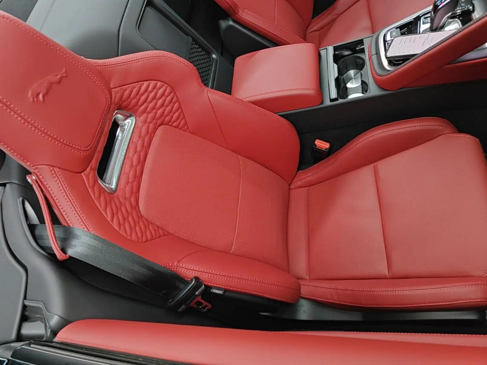 Jaguar F-TYPE 2024 P300 75th Anniversary Collector's Convertible Edition — миниатюра 19