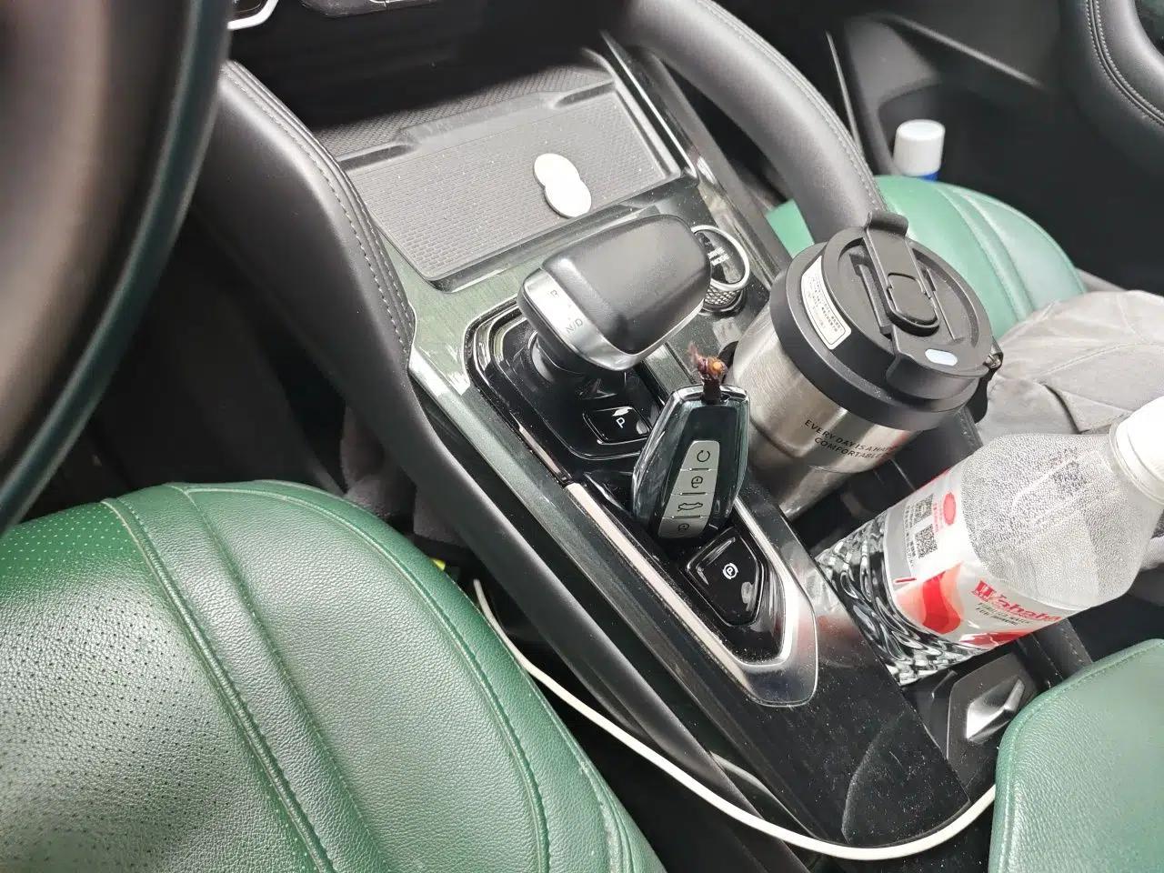 Geely Auto Monjaro L 2021 2.0TD DCT EVO Two-Wheel-Drive Flagship Version — миниатюра 14