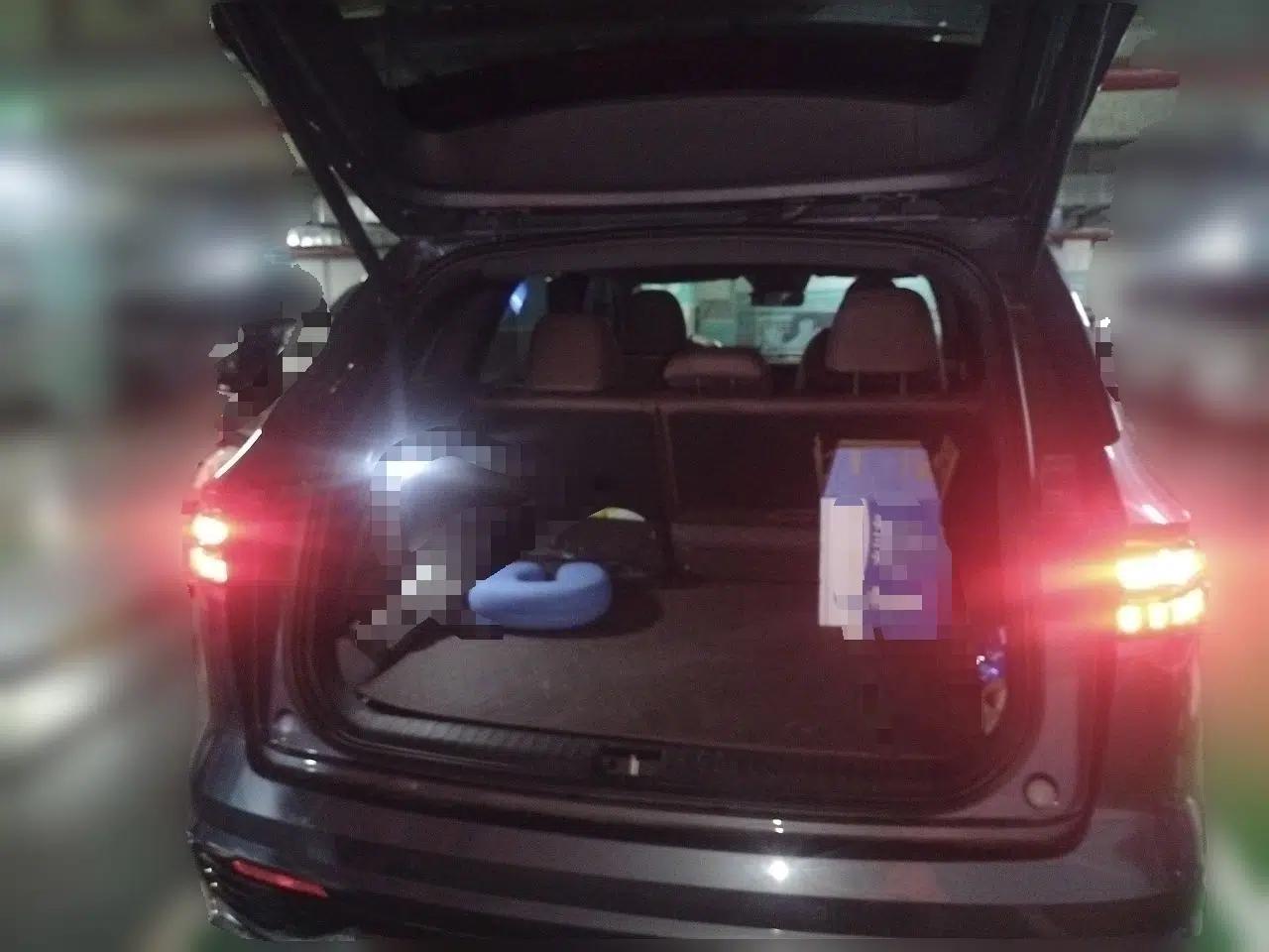 Geely Auto Monjaro L 2024 2.0TD High-Power Automatic Two-Wheel Drive Yunqi Version — миниатюра 16