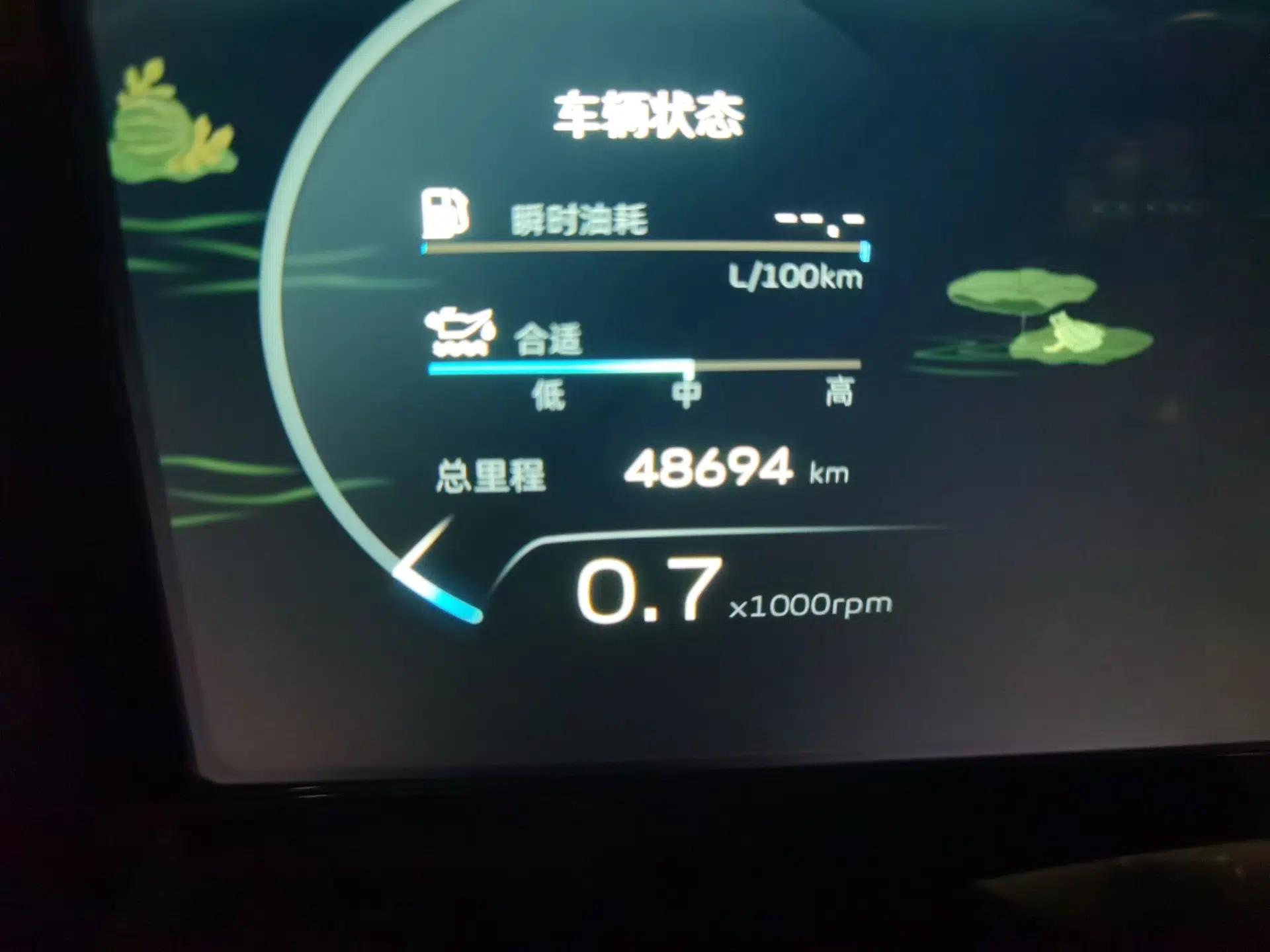 Geely Auto Monjaro L 2021 2.0TD DCT EVO Two-Wheel Drive Prestige Version — миниатюра 11
