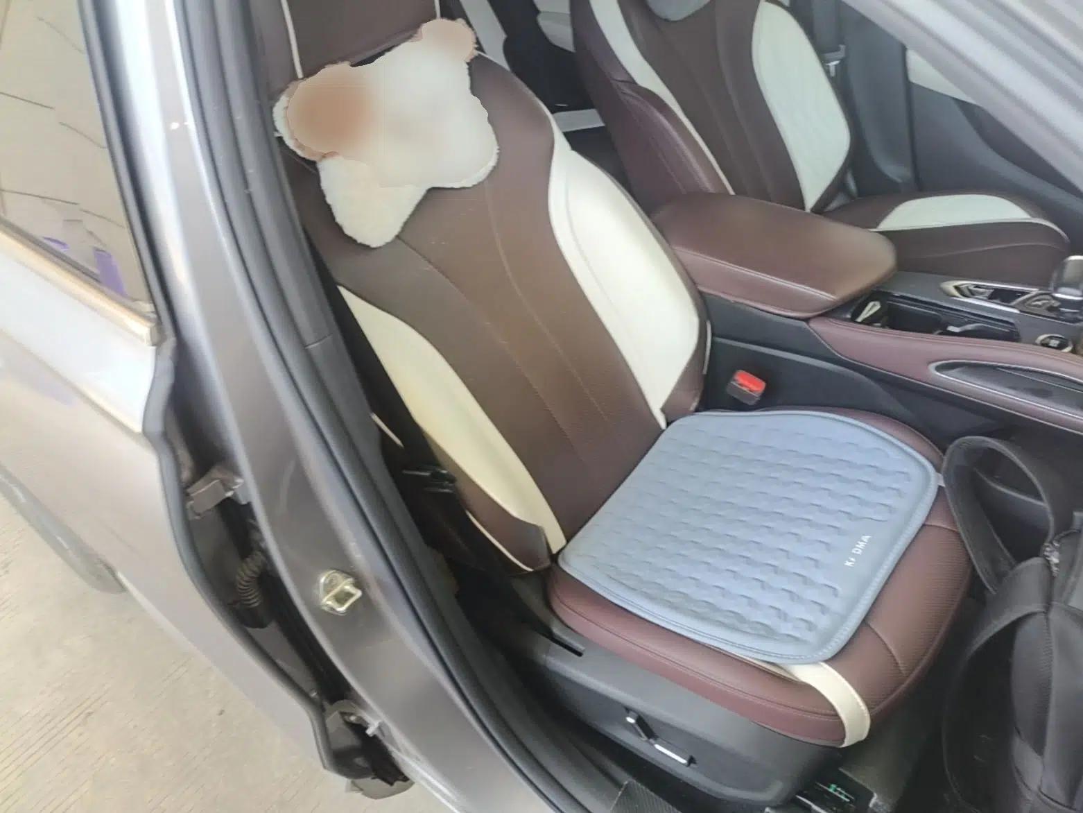 Geely Auto Monjaro L 2021 2.0TD DCT EVO Two-Wheel Drive Prestige Version — миниатюра 19