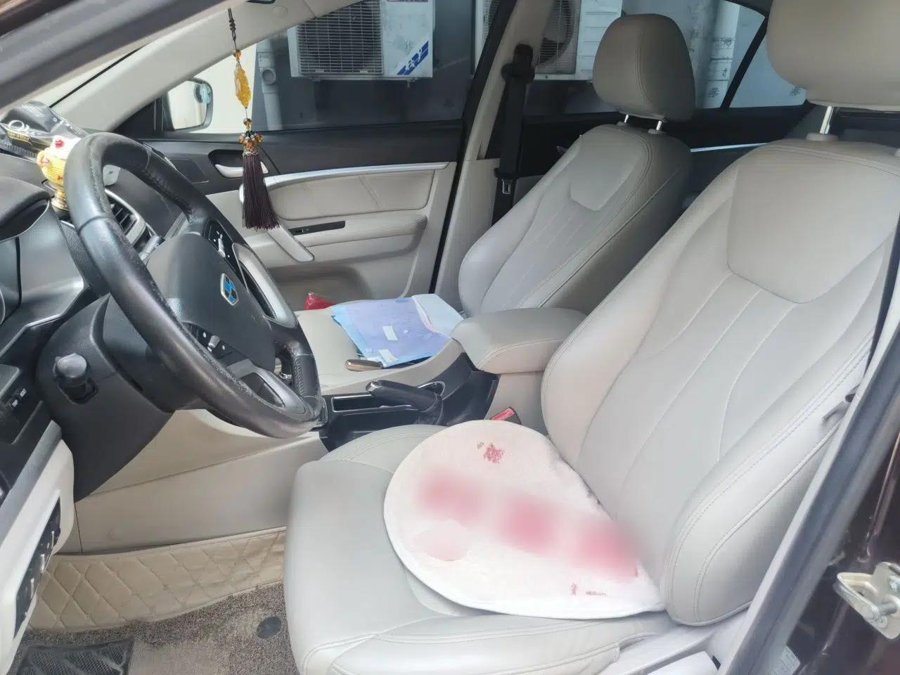 Geely Auto Emgrand 2016 Sedan 1.5L Manual Luxury Model — миниатюра 15