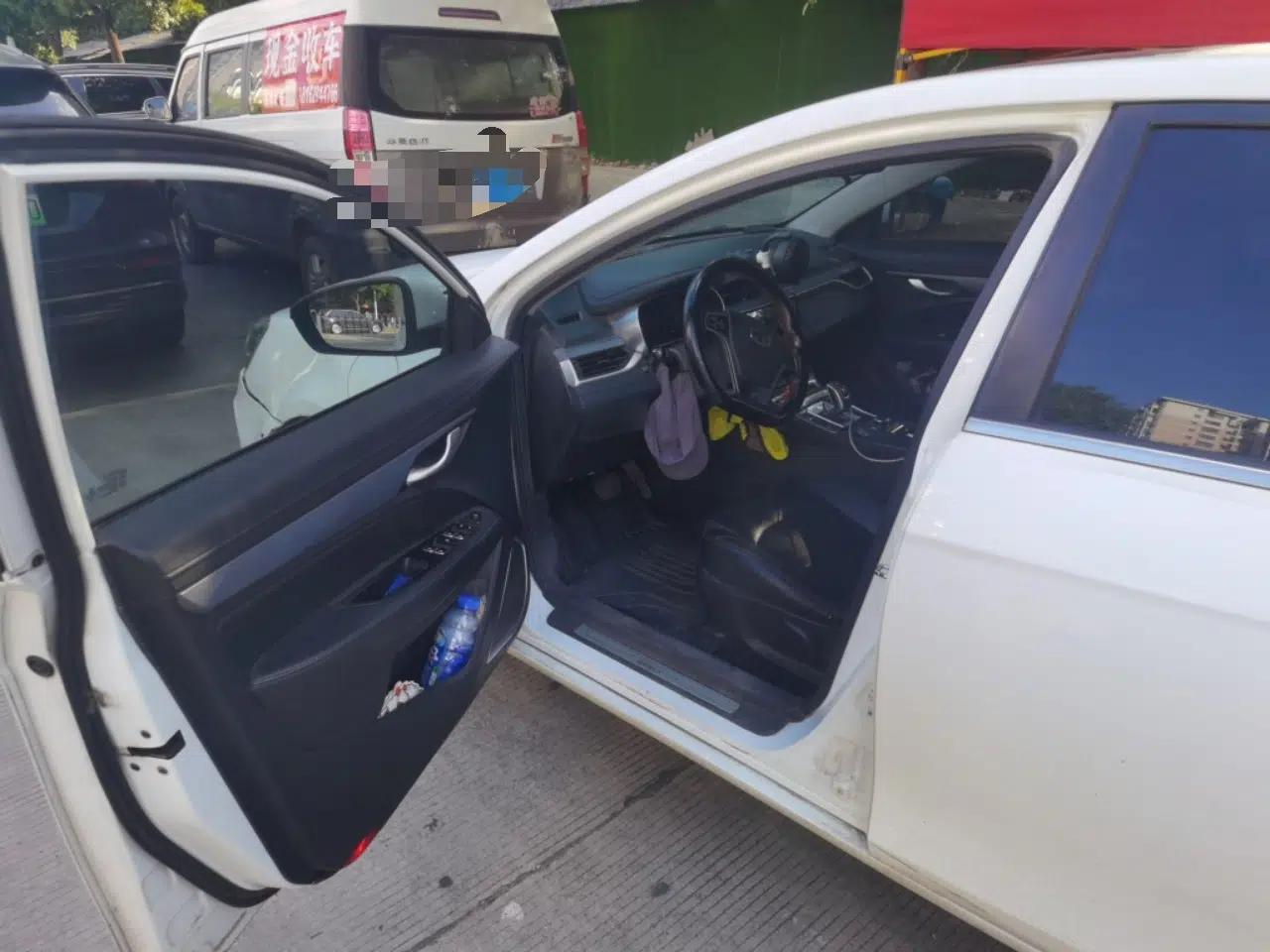 Geely Auto Emgrand New Energy 2018 EV450 Elite Model — миниатюра 16